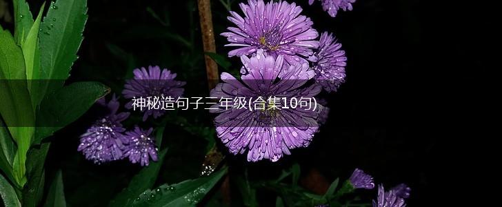 神秘造句子三年级(合集10句),第1张