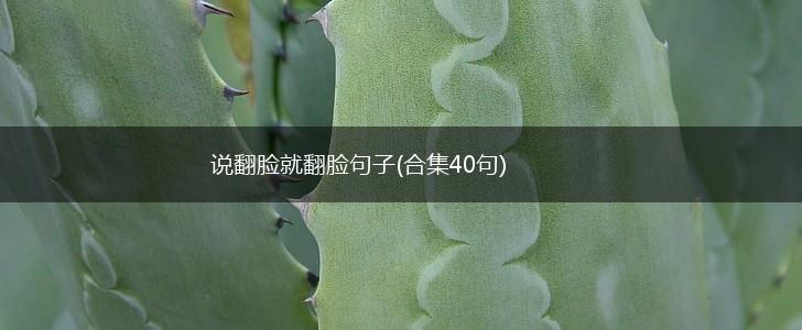 说翻脸就翻脸句子(合集40句),第1张