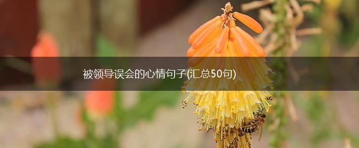 被领导误会的心情句子(汇总50句),第1张