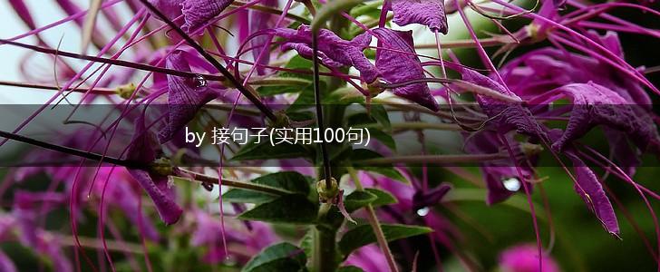 by 接句子(实用100句),第1张