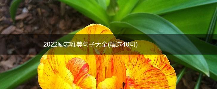 2022励志唯美句子大全(精选40句),第1张
