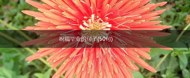 祝福毕业的句子(50句),第1张