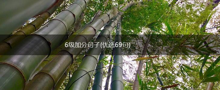 6级加分句子(优选69句),第1张