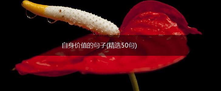 自身价值的句子(精选50句),第1张