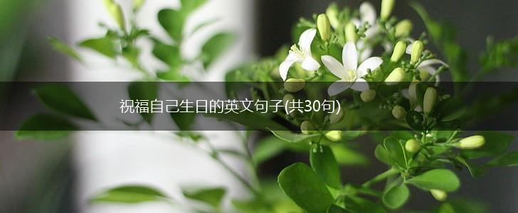 祝福自己生日的英文句子(共30句),第1张