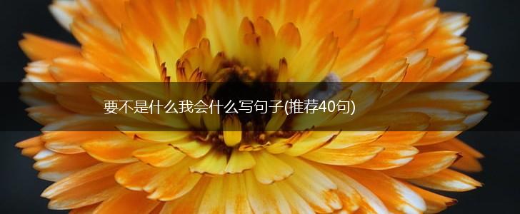 要不是什么我会什么写句子(推荐40句),第1张