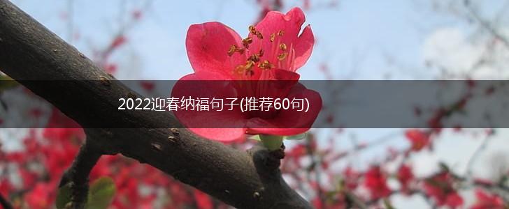 2022迎春纳福句子(推荐60句),第1张