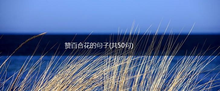 赞百合花的句子(共50句),第1张