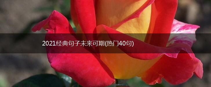 2021经典句子未来可期(热门40句),第1张