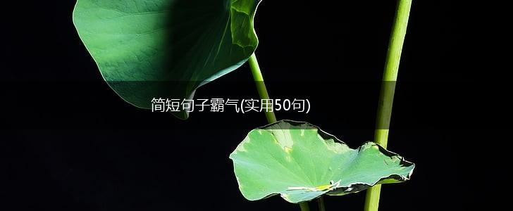 简短句子霸气(实用50句),第1张