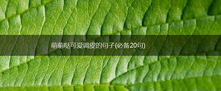 萌萌哒可爱调皮的句子(必备20句),第1张