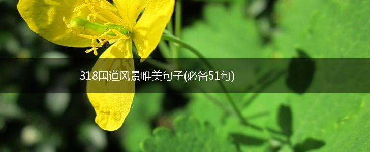318国道风景唯美句子(必备51句),第1张