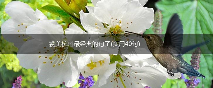 赞美杭州最经典的句子(实用40句),第1张