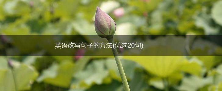 英语改写句子的方法(优选20句),第1张