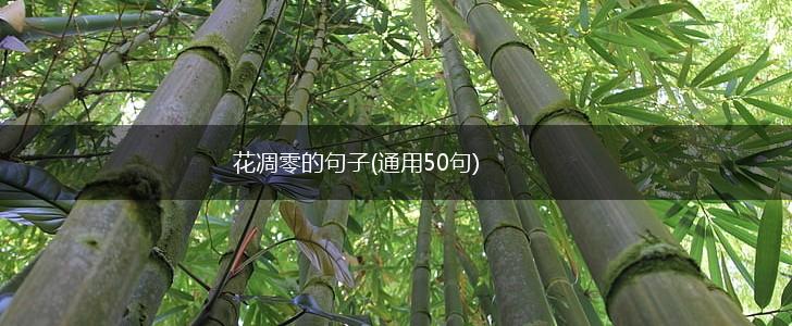 花凋零的句子(通用50句),第1张