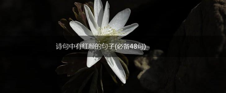 诗句中有红颜的句子(必备48句),第1张