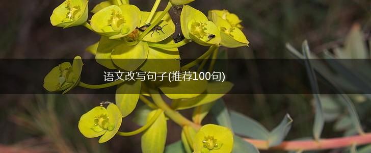语文改写句子(推荐100句),第1张