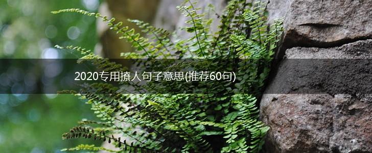 2020专用撩人句子意思(推荐60句),第1张