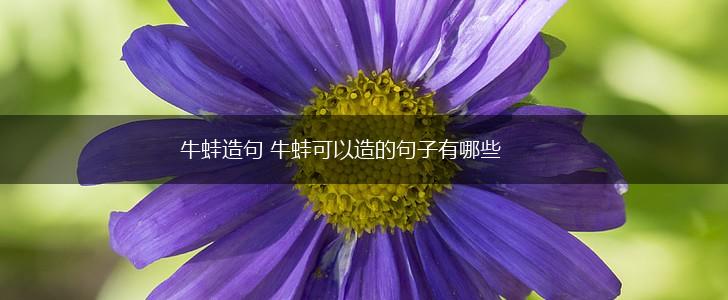 牛蛙造句 牛蛙可以造的句子有哪些,第1张