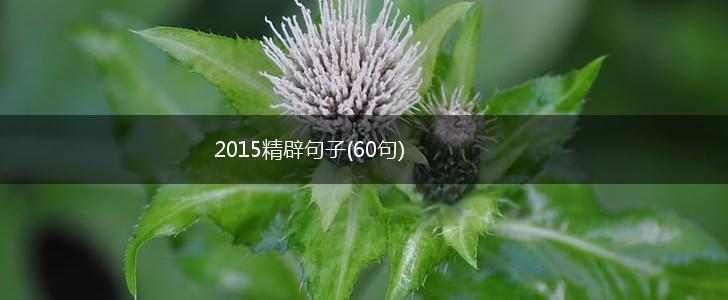 2015精辟句子(60句),第1张