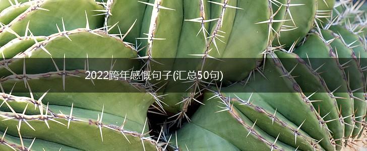 2022跨年感慨句子(汇总50句),第1张
