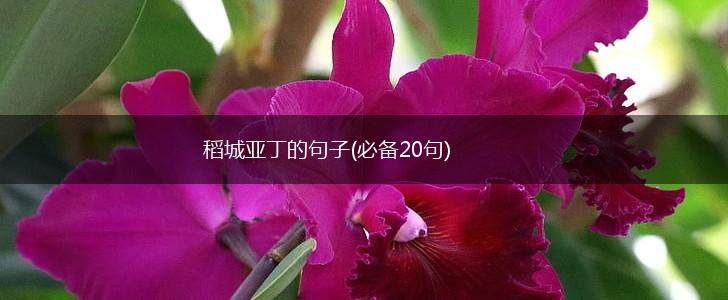 稻城亚丁的句子(必备20句),第1张