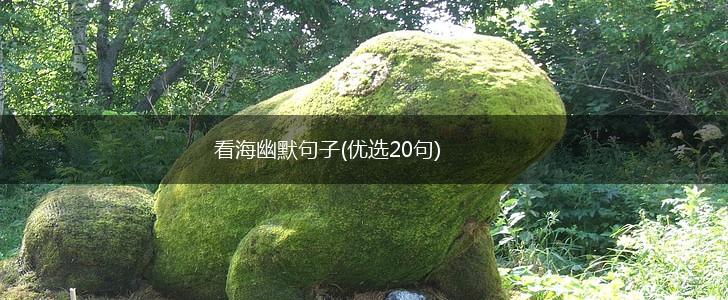 看海幽默句子(优选20句),第1张