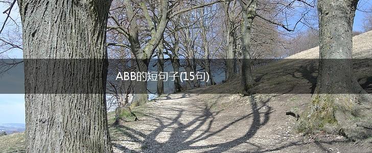 ABB的短句子(15句),第1张