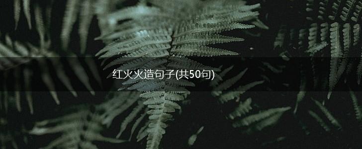 红火火造句子(共50句),第1张