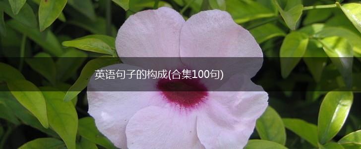 英语句子的构成(合集100句),第1张