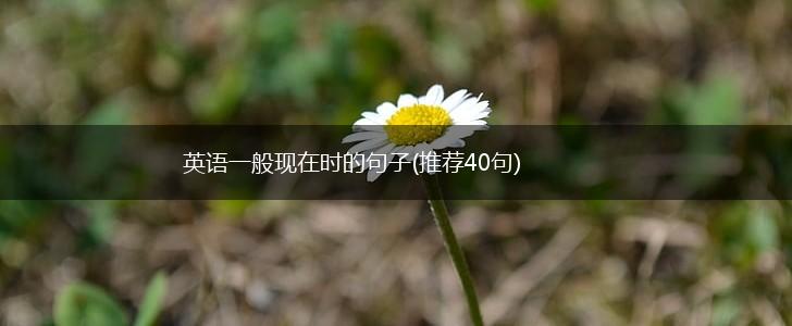 英语一般现在时的句子(推荐40句),第1张