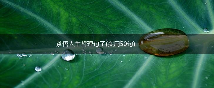 茶悟人生哲理句子(实用50句),第1张