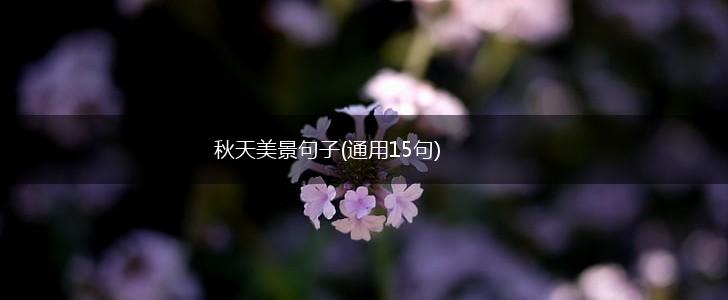 秋天美景句子(通用15句),第1张