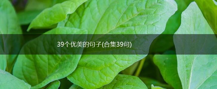 39个优美的句子(合集39句),第1张