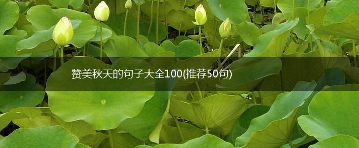 赞美秋天的句子大全100(推荐50句),第1张