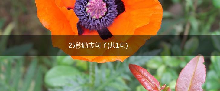 25秒励志句子(共1句),第1张