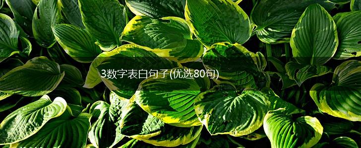 3数字表白句子(优选80句),第1张