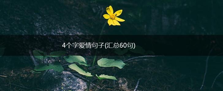 4个字爱情句子(汇总60句),第1张