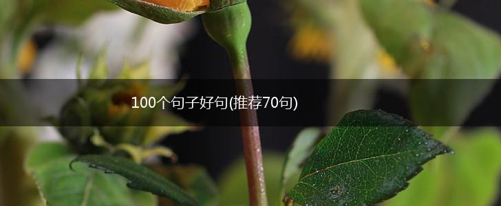 100个句子好句(推荐70句),第1张
