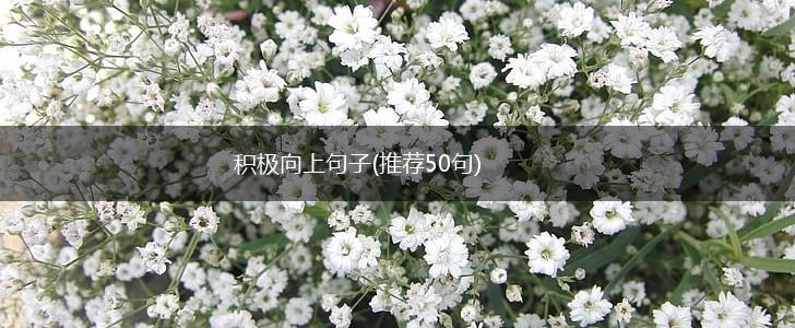 积极向上句子(推荐50句),第1张