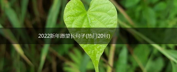 2022新年愿望长句子(热门20句),第1张