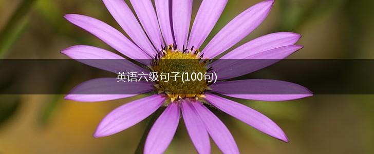 英语六级句子(100句),第1张