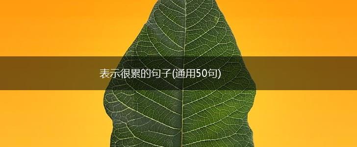 表示很累的句子(通用50句),第1张