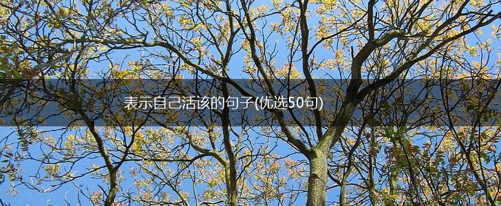 表示自己活该的句子(优选50句),第1张