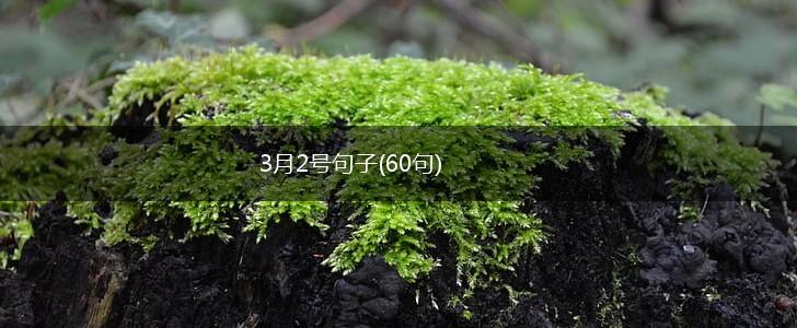 3月2号句子(60句),第1张