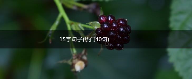 15字句子(热门40句),第1张