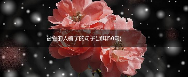 被爱的人骗了的句子(通用50句),第1张