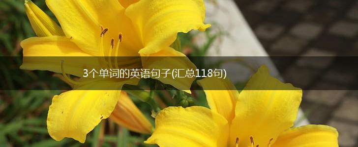 3个单词的英语句子(汇总118句),第1张