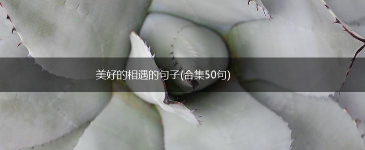美好的相遇的句子(合集50句),第1张