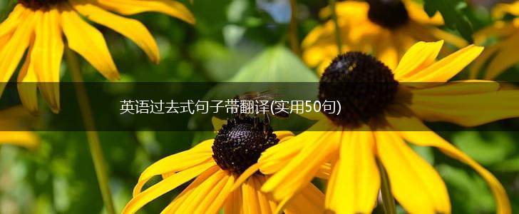 英语过去式句子带翻译(实用50句),第1张